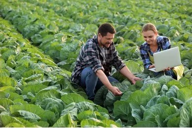 agricultural engineers