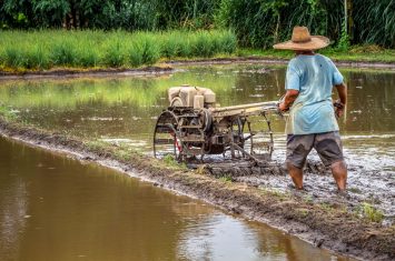 science, health & agriculture